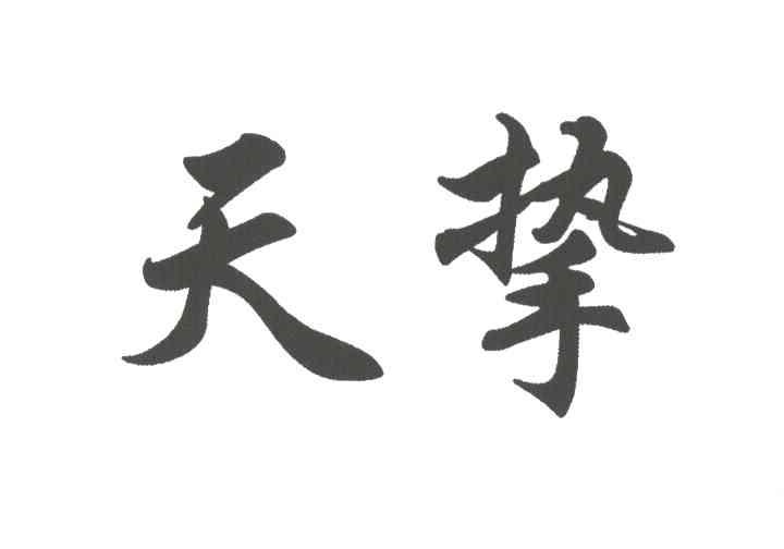 天挚