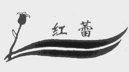 红蕾