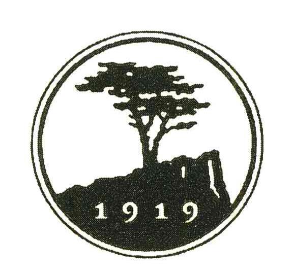 1919