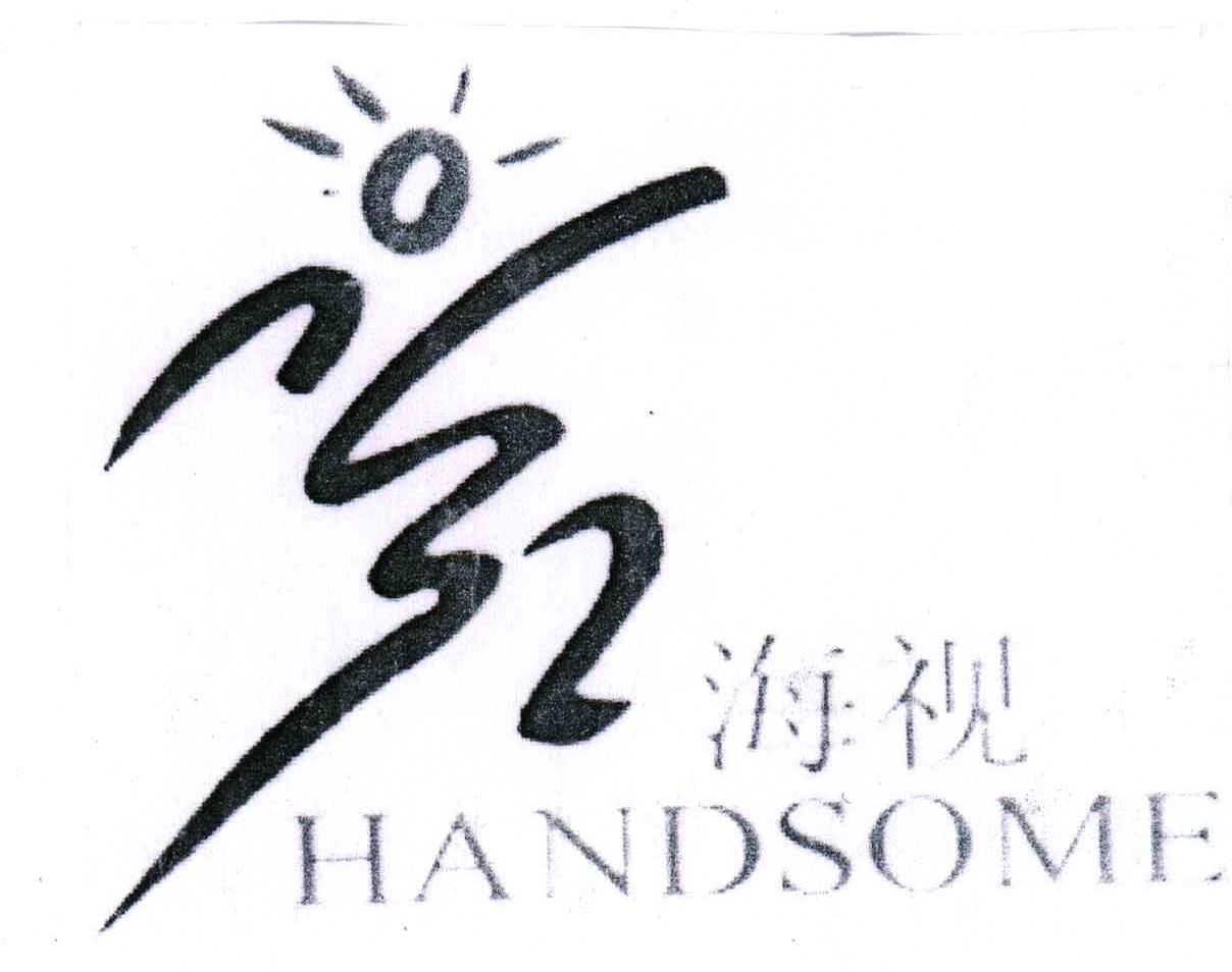 海视;HANDSOME