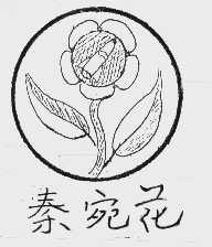 秦宛花
