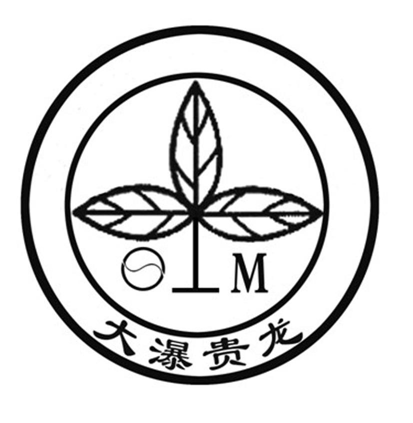 大瀑贵龙 M