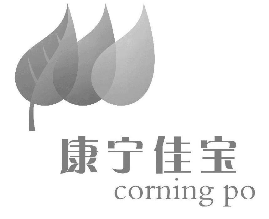 康宁佳宝 CORNING PO