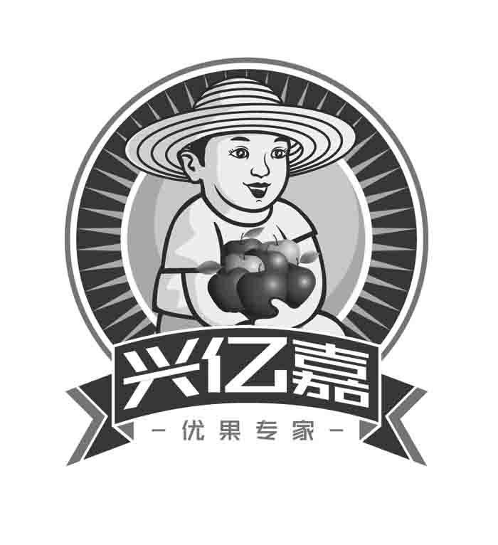 兴亿嘉 优果专家