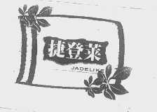 捷登莱   JADELIKE