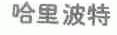 哈里波特