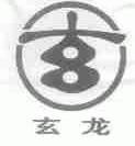 玄龙