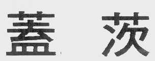 盖茨