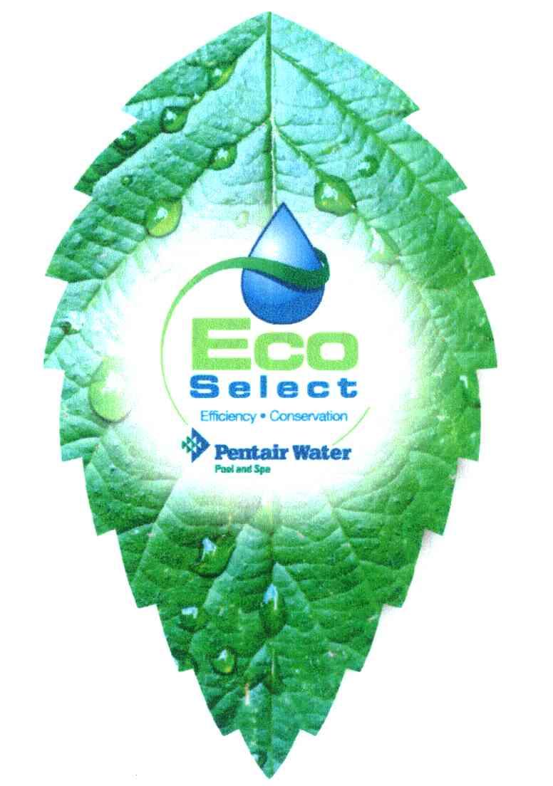ECO SELECT EFFICIENCY&middot;CONSERVATION PENTAIR WATER POOL AND SPA