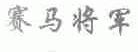 赛马将军