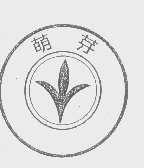 萌芽