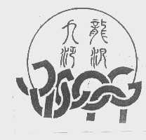 九龙泛汛