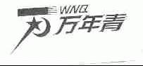 万年青;WNQ