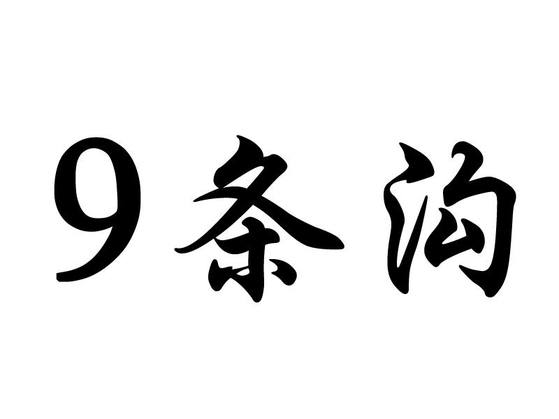 9条沟