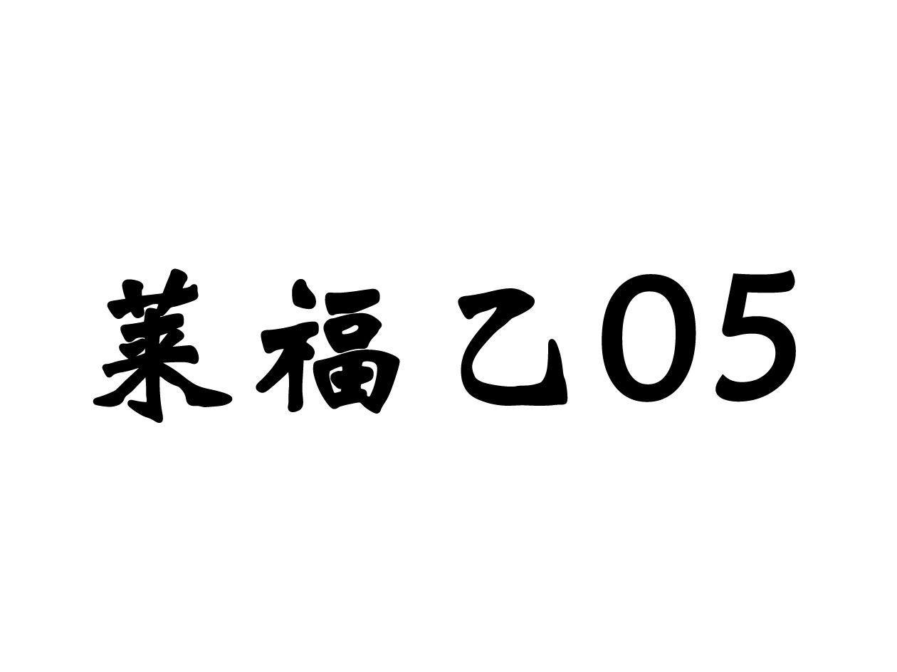 莱福乙 05