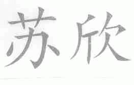 苏欣