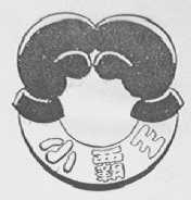 小霸王