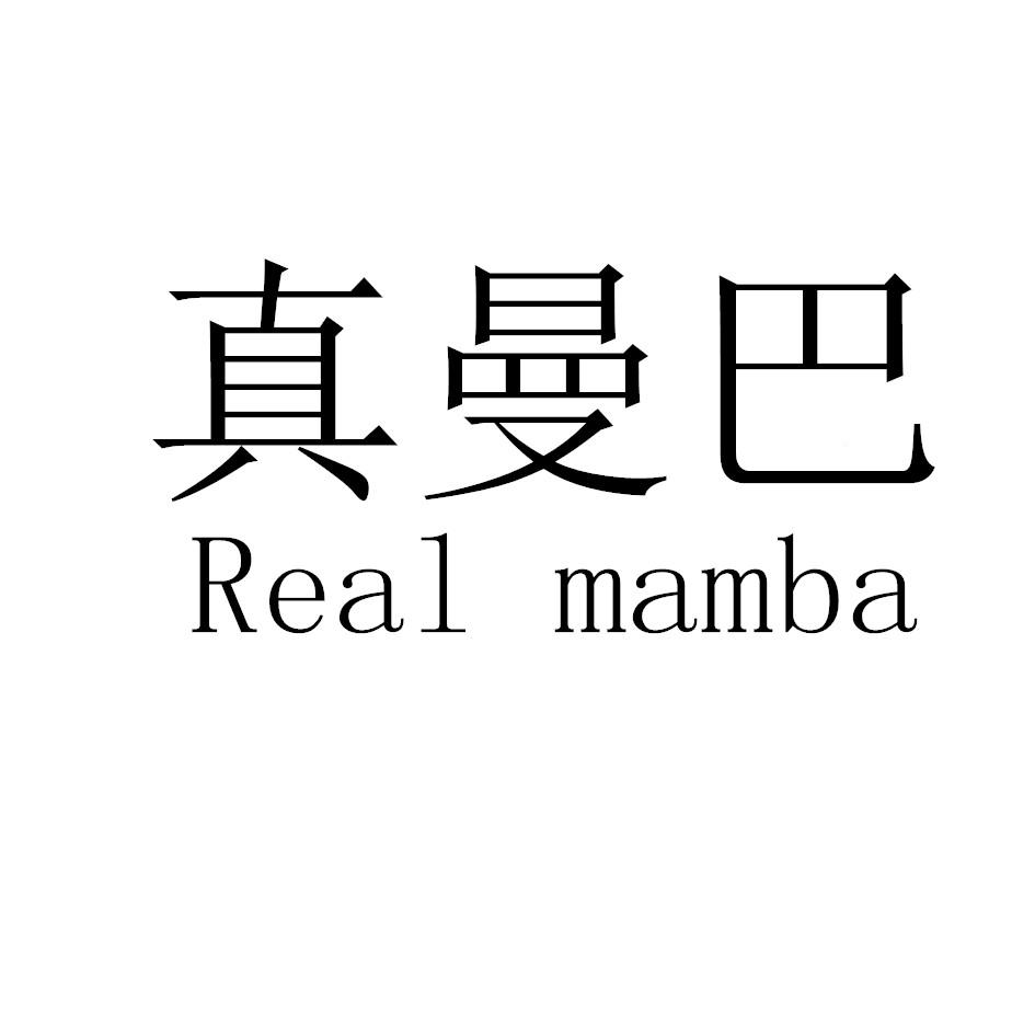真曼巴 REAL MAMBA