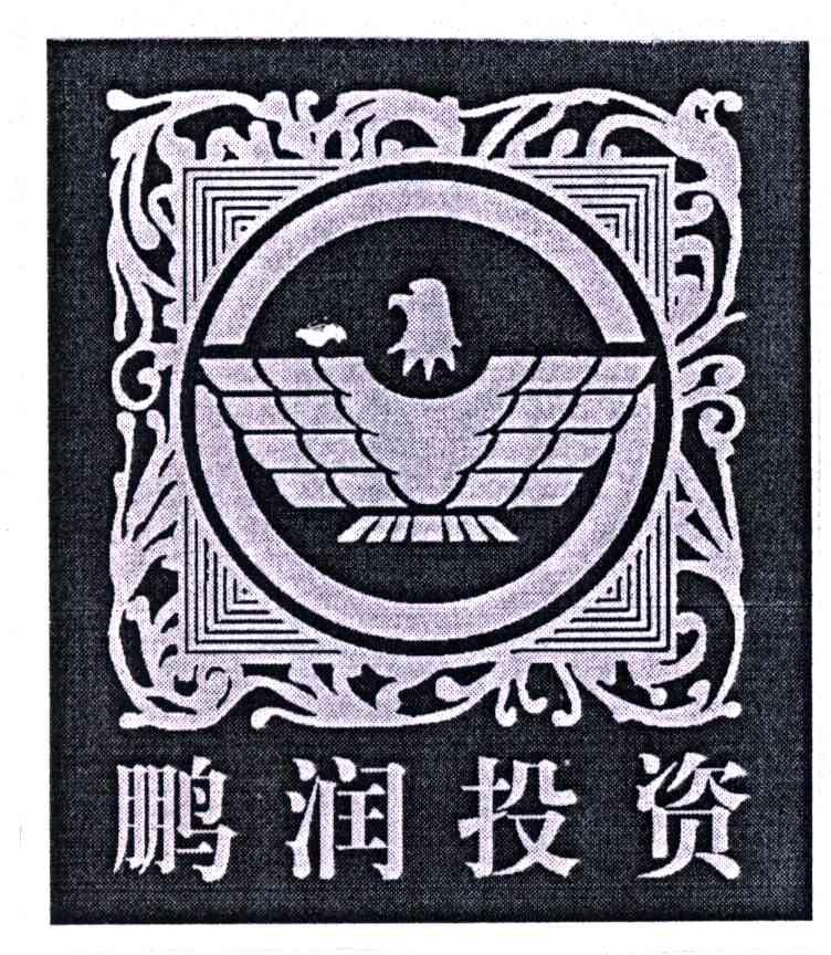 鹏润投资