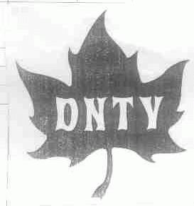 DNTV