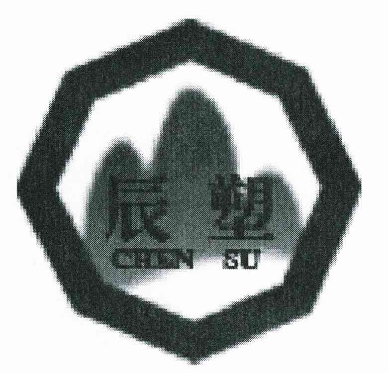 辰塑