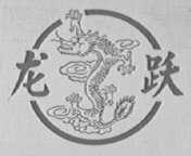 龙跃