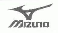 MIZUNO