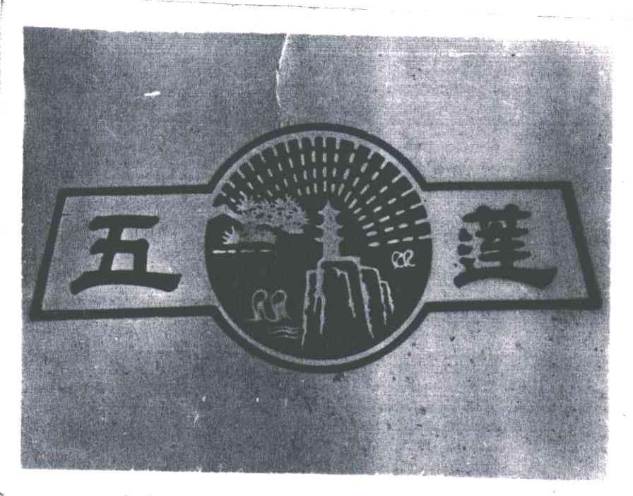 五莲