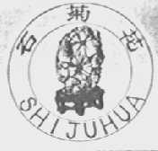 石菊花