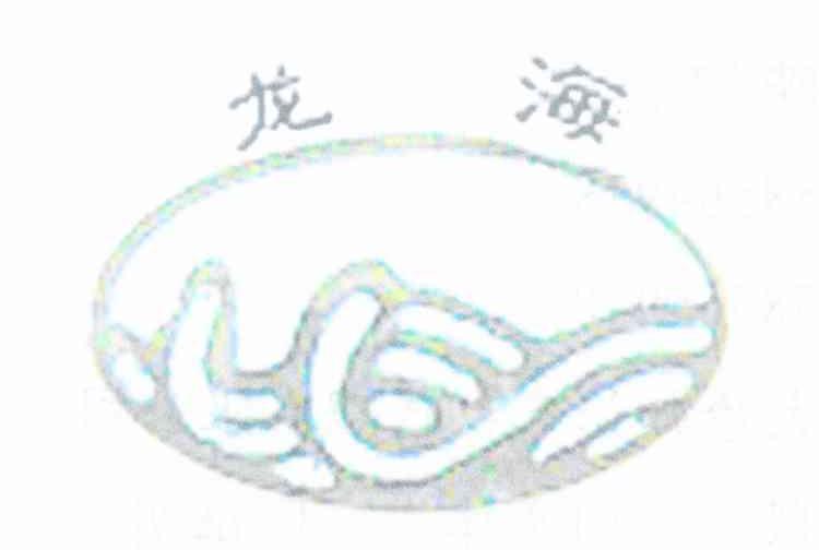 龙海