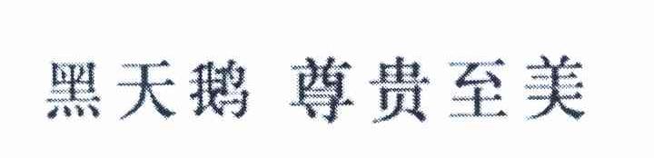 黑天鹅尊贵至美