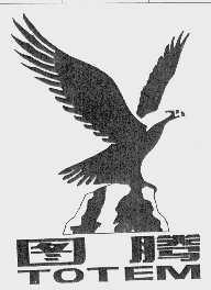 图腾   TOTEM