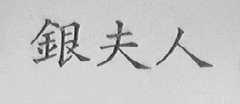 银夫人