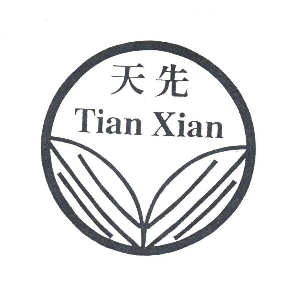 天先