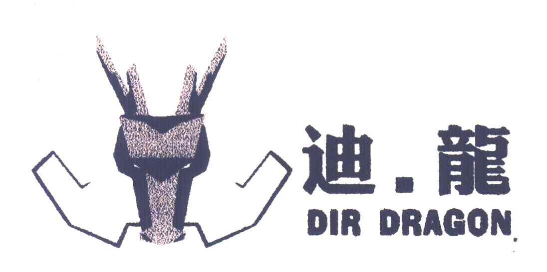 迪龙;DIR DRAGON