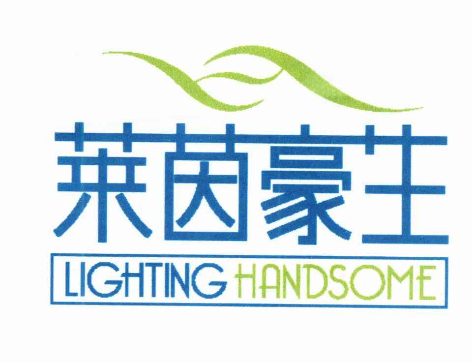 莱茵豪生;LIGHTING HANDSOME