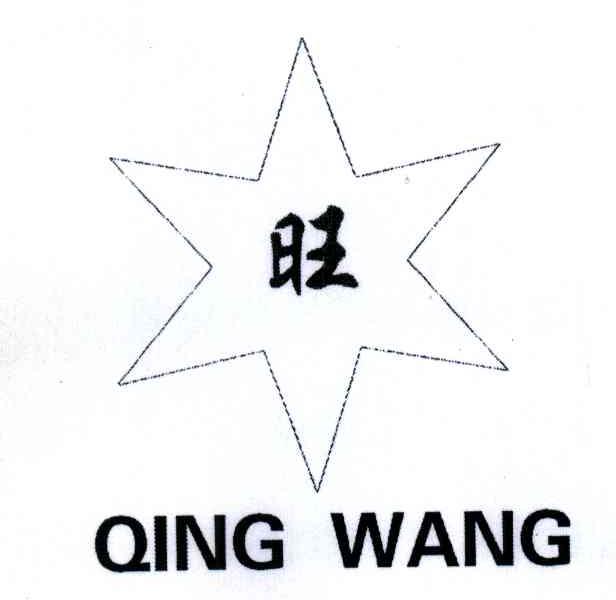 旺;QING WANG