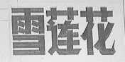 雪莲花