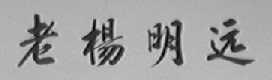 老杨明远