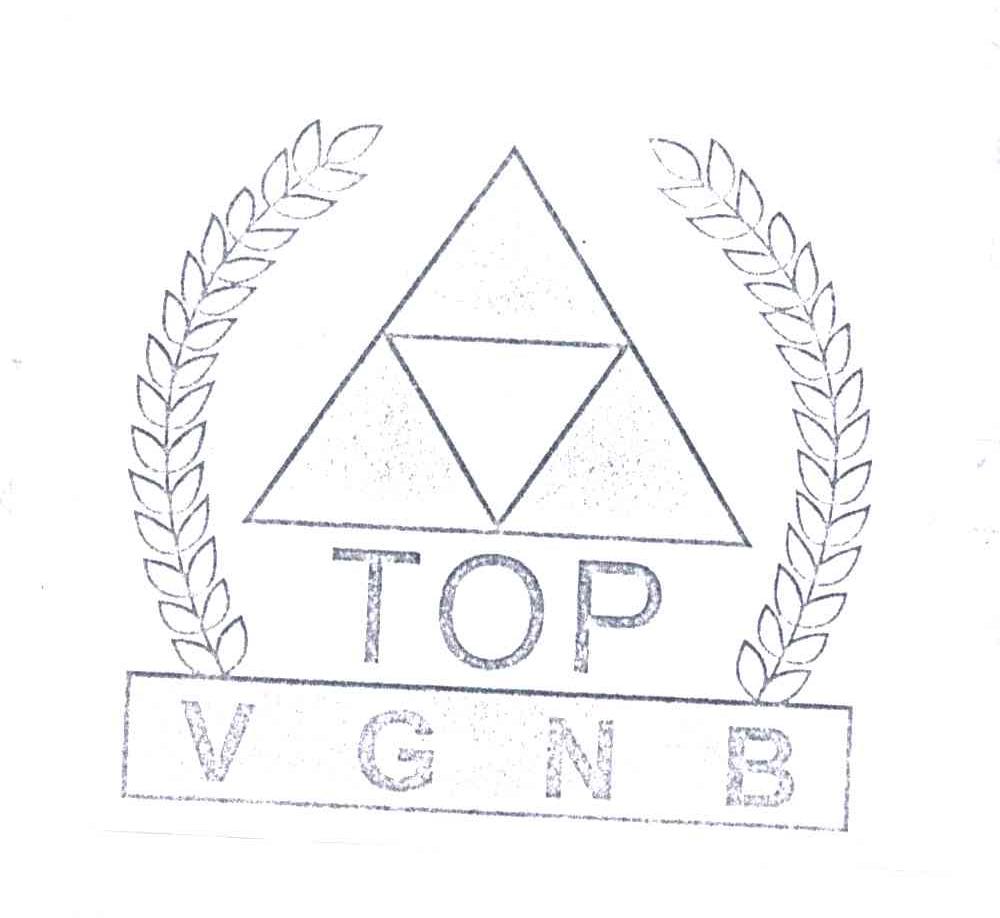 TOP VGNB