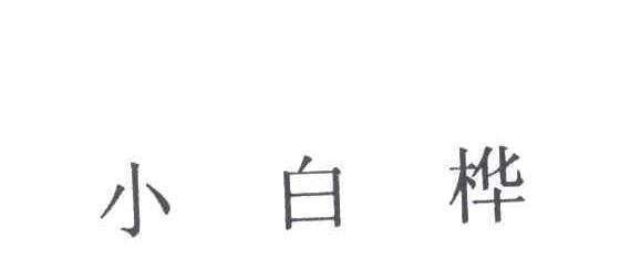 小白桦