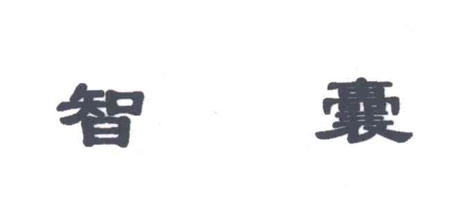 智囊