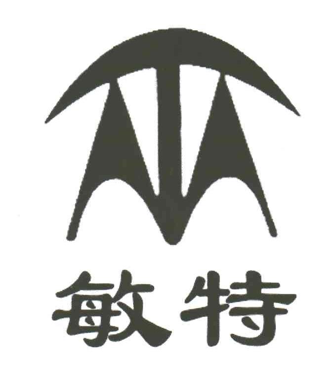 敏特;MT
