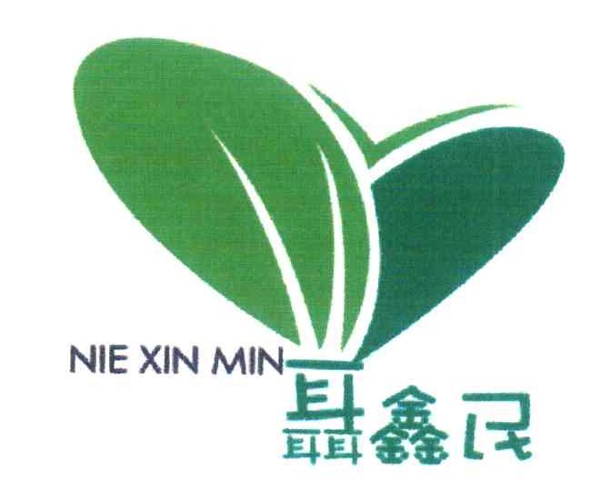聂鑫民