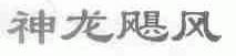 神龙飓风