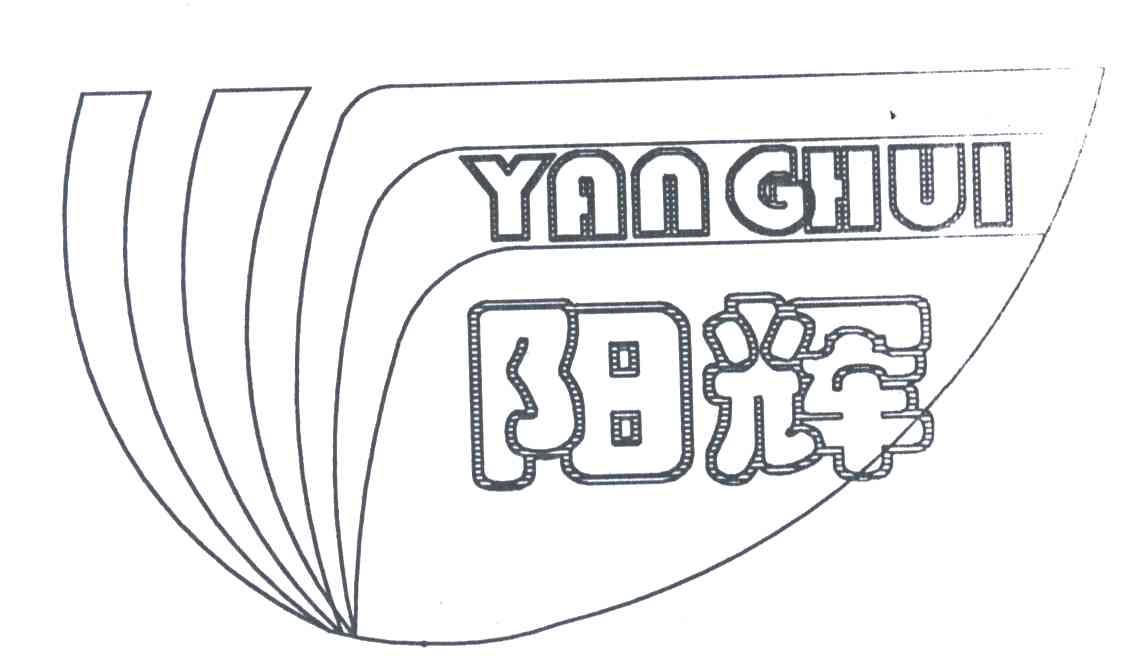 阳辉
