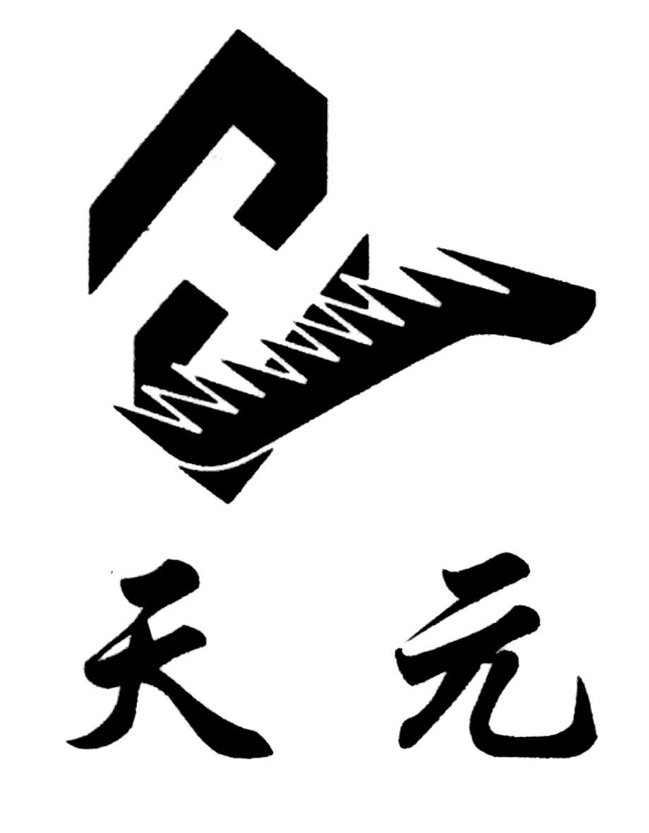 天元