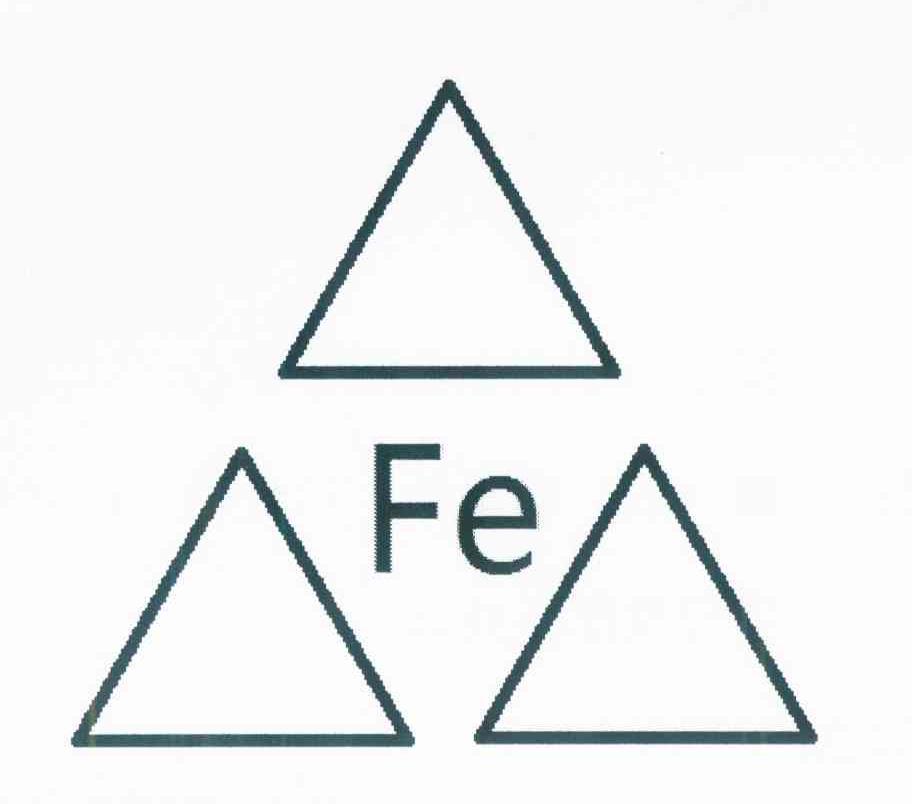 FE