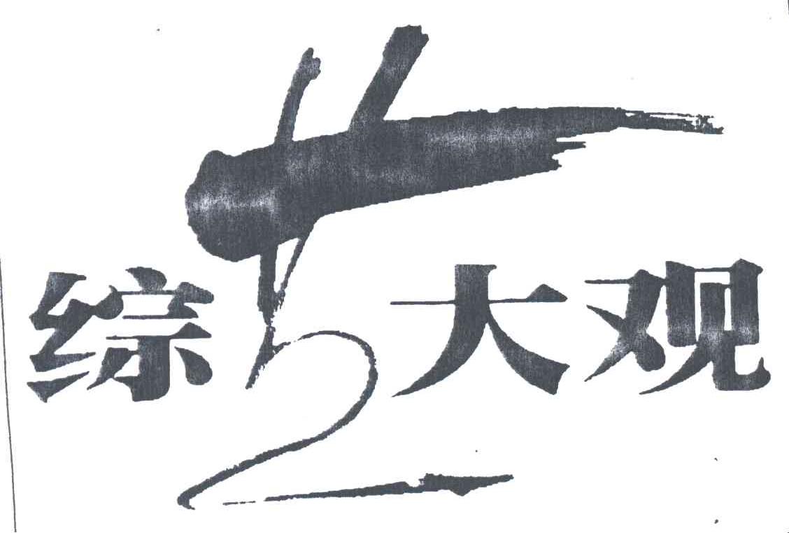 综艺大观