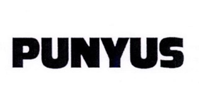 PUNYUS